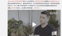 顾成前妻爆料视频播放,揭秘婚姻背后的真相